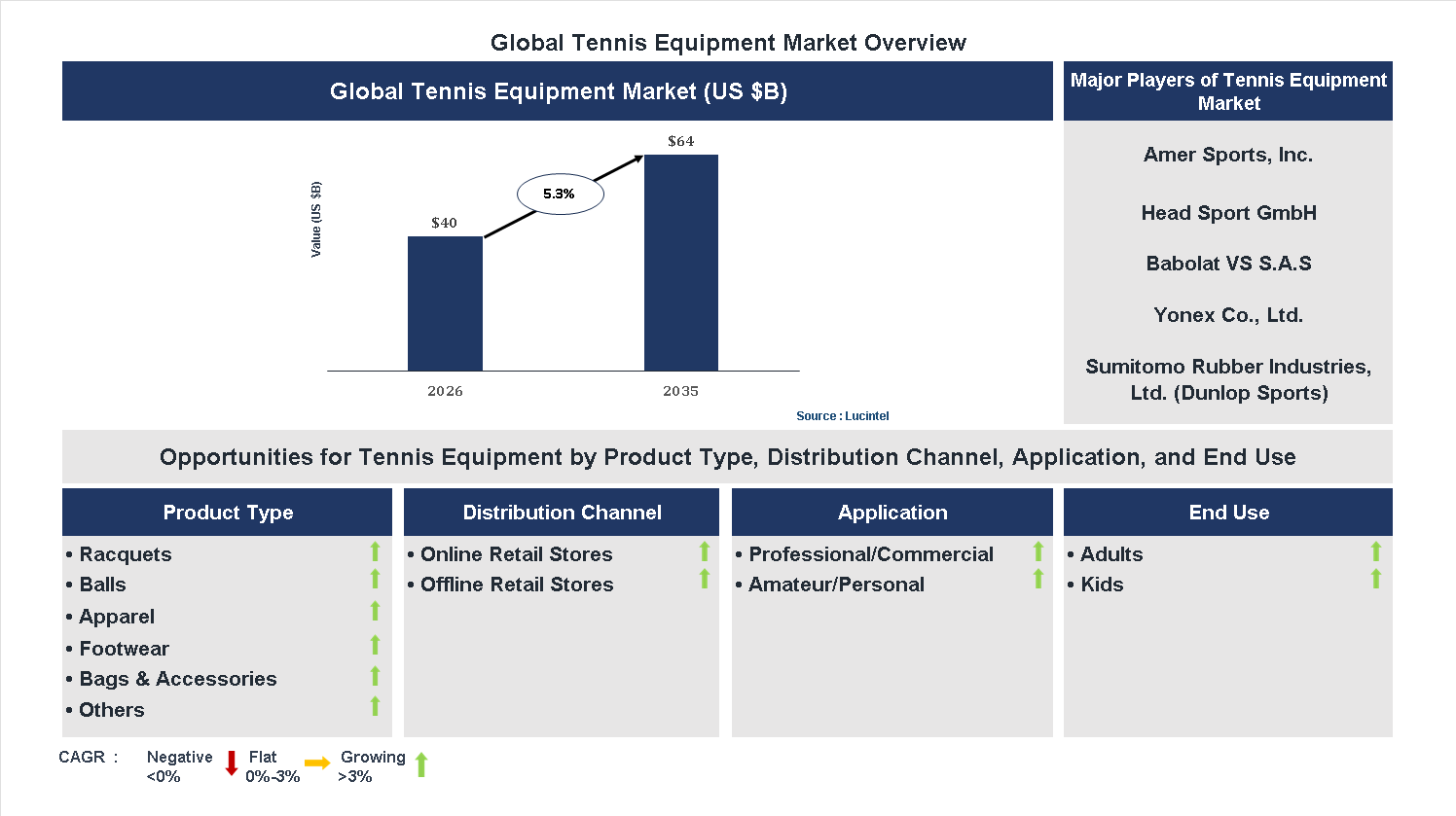 Tennis Equipment Market Trends and Forecast
